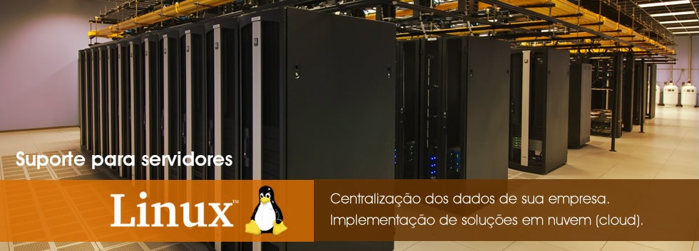 Servidores Linux - SynAck Certified